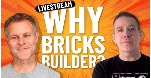 Why Bricks
