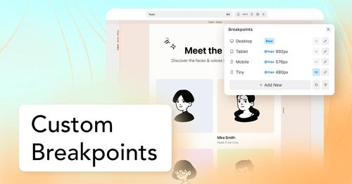 Cwicly Custom Breakpoints