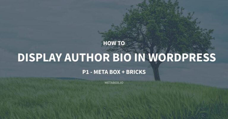 Meta Box Display Autor Bio