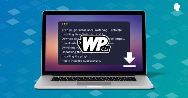 how to install the wp cli