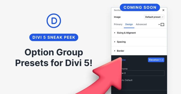 divi 5 option presets