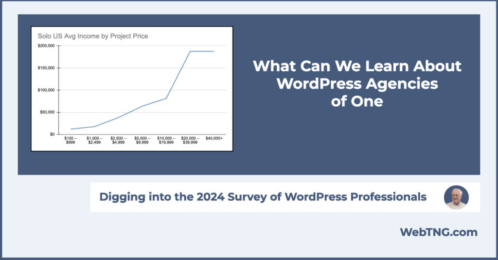 info about wordpress agencies