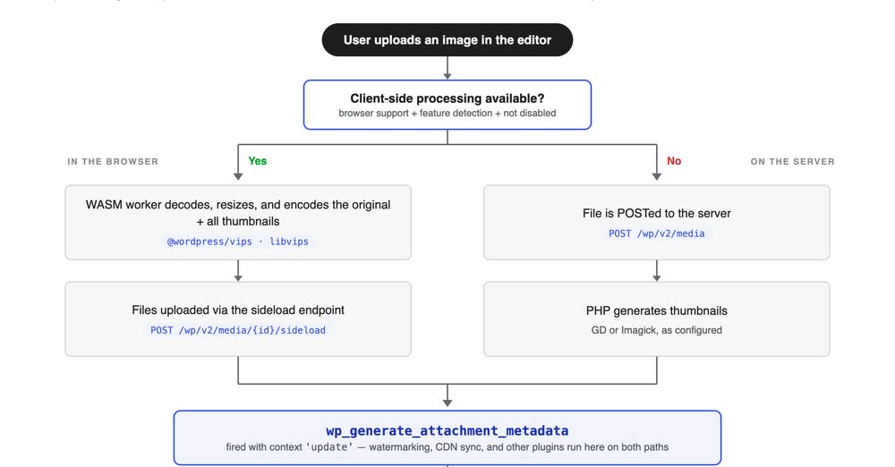 media processing in the browser